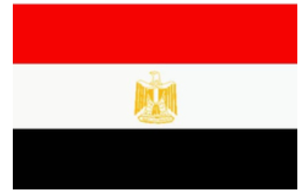 埃及COC认证办理流程解析