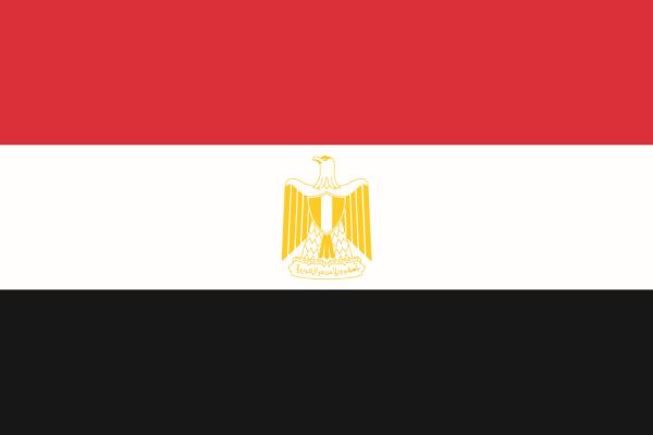 埃及COI认证办理流程解析